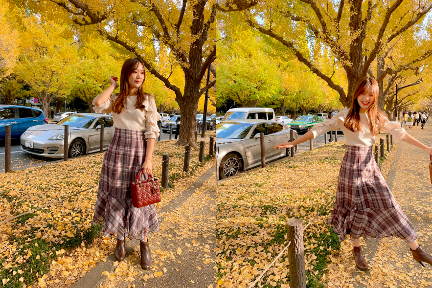 明治神宮外苑銀杏並木